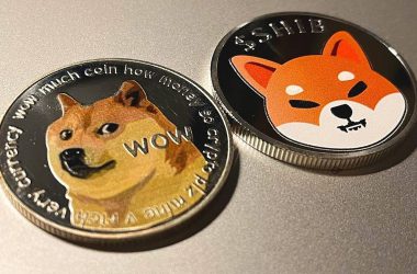 Shiba Inu Might Follow Dogecoin’s Rally Trail, Says Analysts