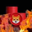 Shiba Inu Burn Rate Spikes as Shiba Eternity Game Download Day Nears