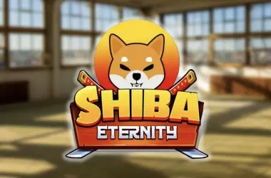 Shiba Eternity