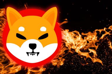 Shiba Inu: How Much SHIB Has Been Burned in 2022 So Far?