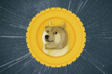 62% Of Dogecoin Holders in Profit as Price Soars