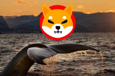 Shiba Inu: Anon Whale Dumps 3.3 Trillion SHIB, Here’s Why