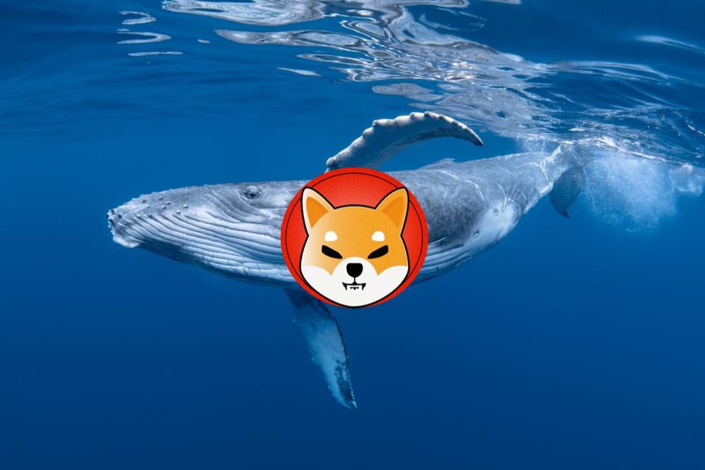 shiba inu whale chart