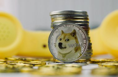 Dogecoin Spikes 10% as Elon Musk-Twitter Deal is Nearing to Conclusion