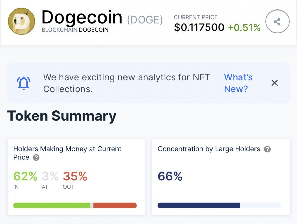 62 Of Dogecoin Holders in Profit as Price Soars