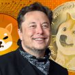 Shiba Inu Is Now Accepted by Elon Musk for His ”Burnt Hair” Perfume