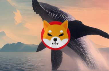 shiba inu whale