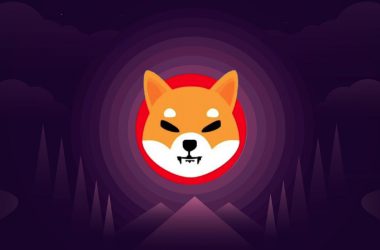 Shiba Inu