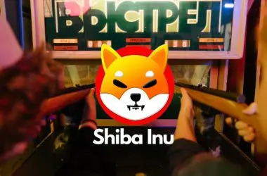shiba inu