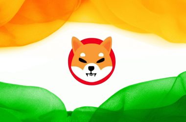 shiba inu india