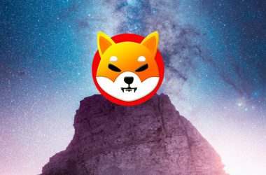 shiba inu
