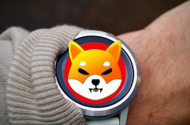Shiba Inu Time Watch