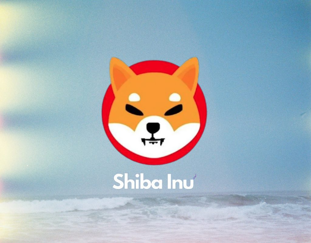 shiba inu waves 1