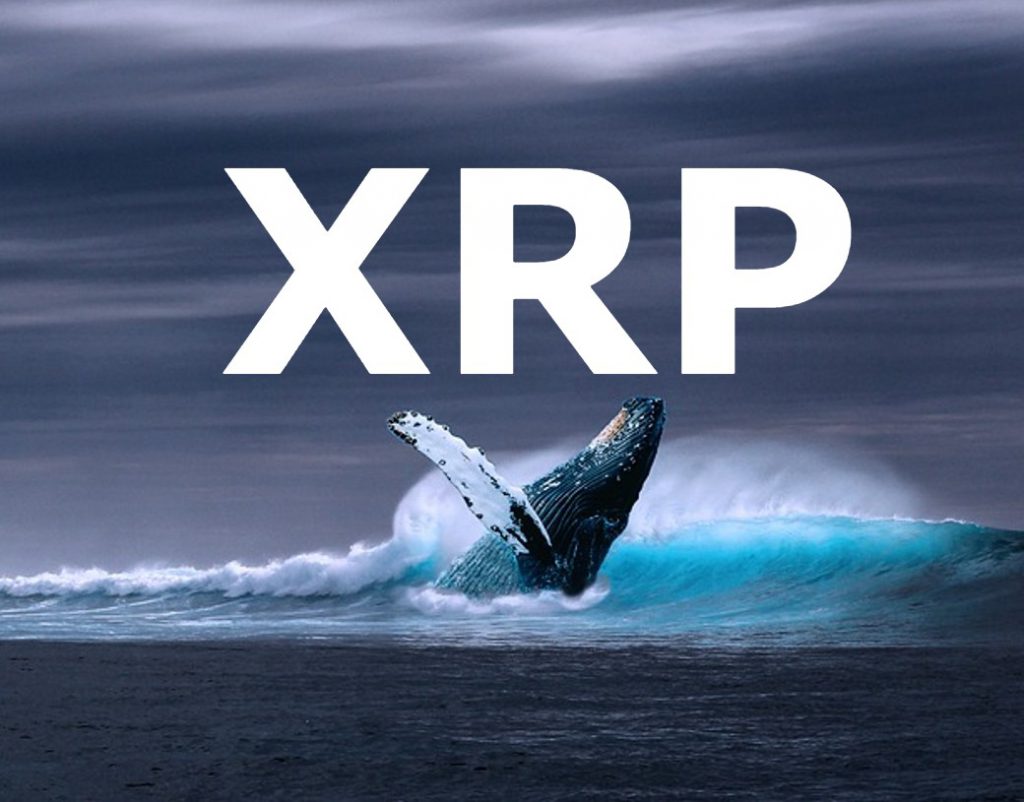 ripple xrp whale