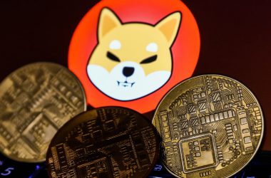 Shiba Inu: Over 223,264,370 SHIB Burned in the Last 7 Days