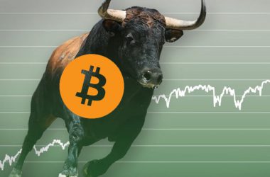 Bitcoin Bull Run BTC