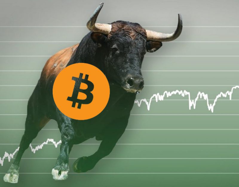 Bitcoin Bull Run BTC