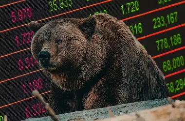 crypto bear markets