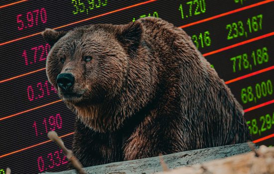 crypto bear markets