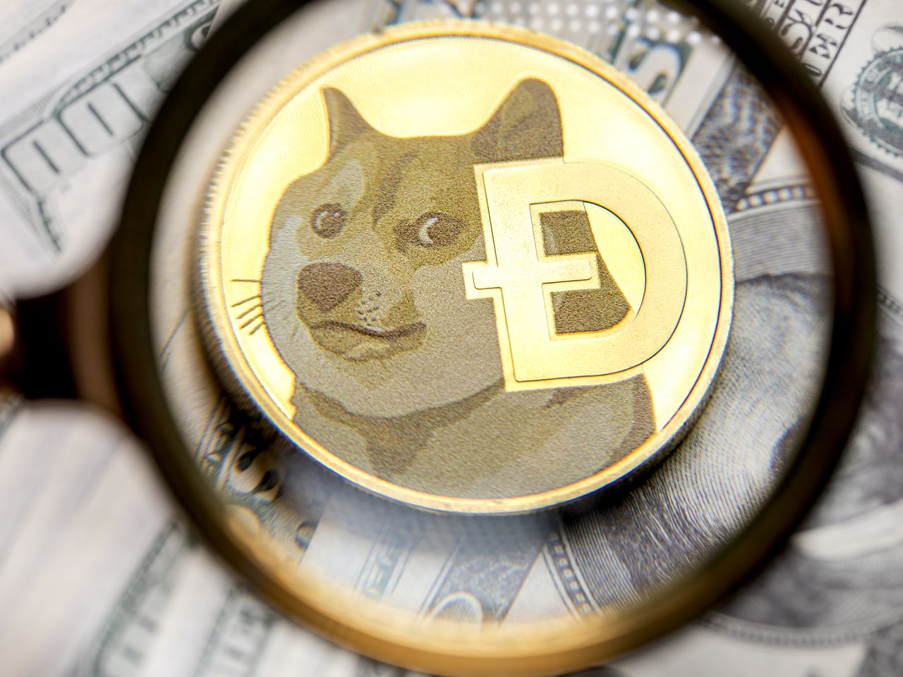 1000 دلار در Dogecoin در سال 2015 به ارزش 1.6 میلیون دلار امروز سرمایه گذاری شده است