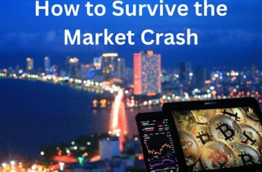 how to survive crypto market crash
