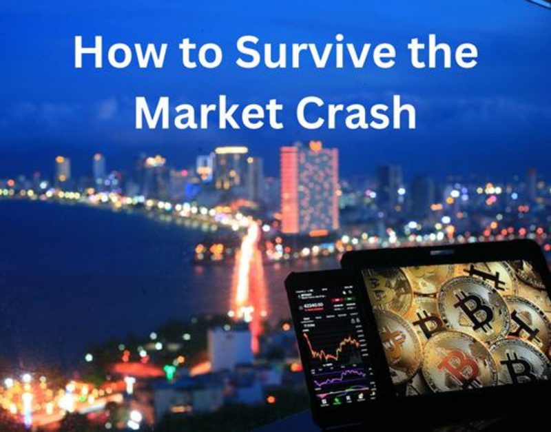 how to survive crypto market crash