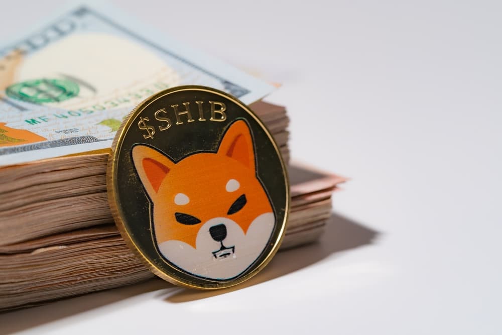 The number of Shiba Inu owners soars to a record high amid market turmoil