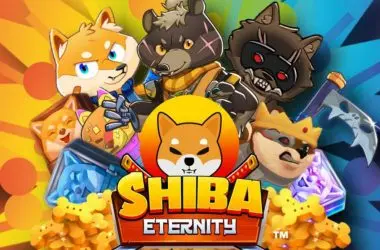 Shiba Eternity: All That Happened Till Now