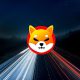 Shiba Inu