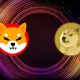 shiba inu dogecoin