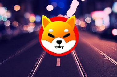 Shiba Inu