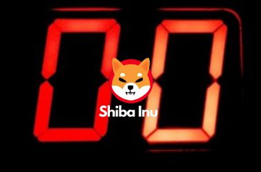 Shiba Inu Zero 0