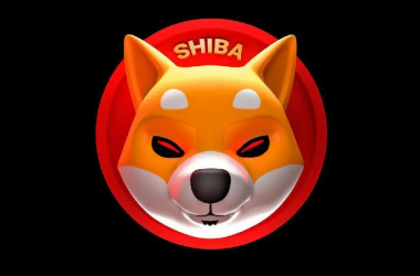 Shiba Inu Enters Top 10 Purchased List Among 5,000 Biggest ETH Whales