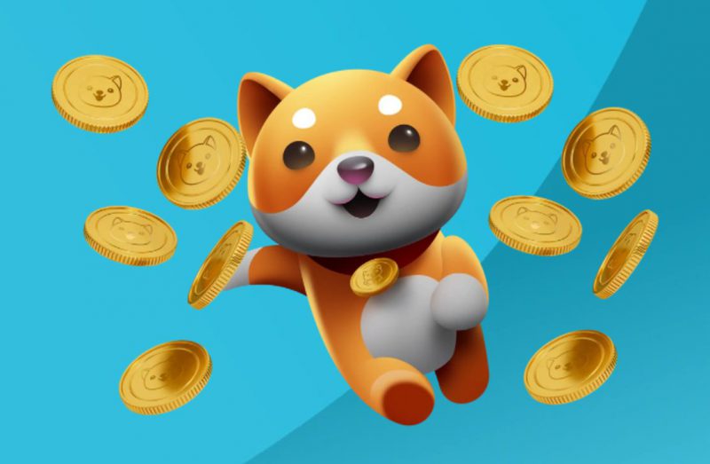 Number of BabyDoge Holders Surpass That of Shiba Inu
