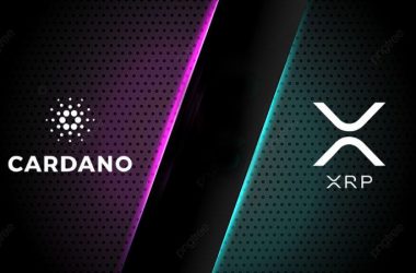 Cardano