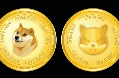 Dogecoin and Shiba Inu Plummets Hard, Here’s Why