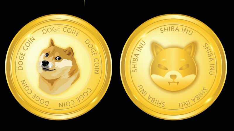 Dogecoin and Shiba Inu Plummets Hard, Here’s Why