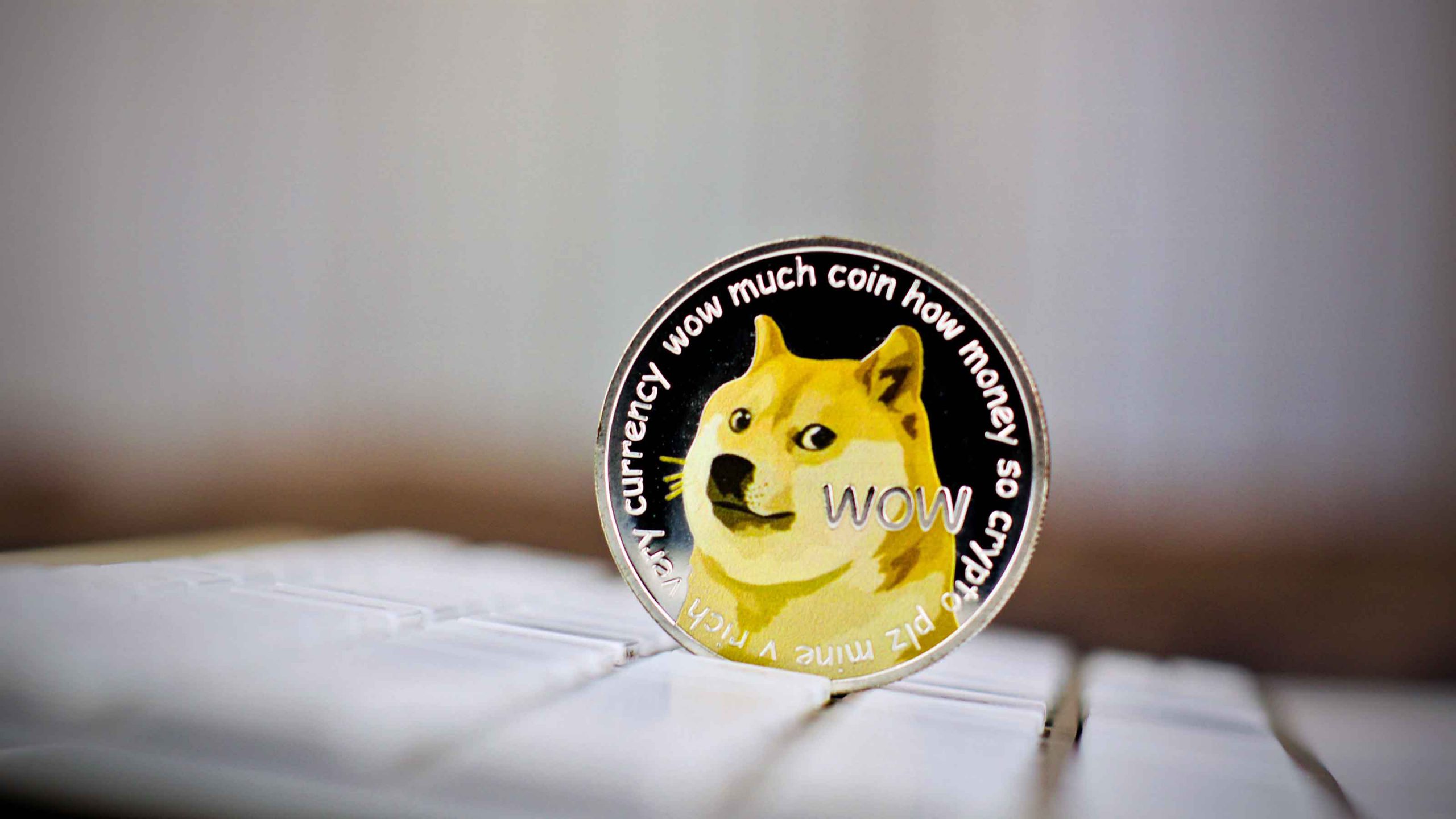 بلاگر Dogecoin روی Meme Coin که امسال به 1 دلار رسید، شرط بندی زیادی کرد