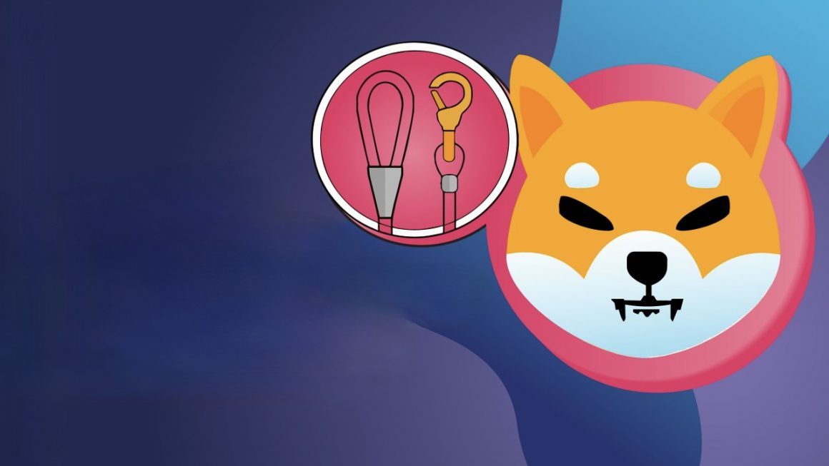 Shiba Inu Here's why LEASH is important to the SHIB ecosystem