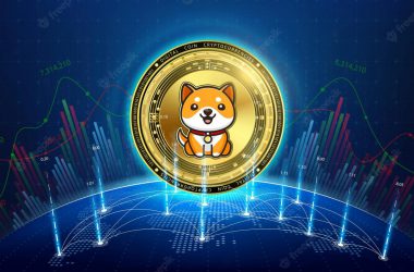 BabyDoge Flips Dome, Enters Most Traded Token List Among Whales