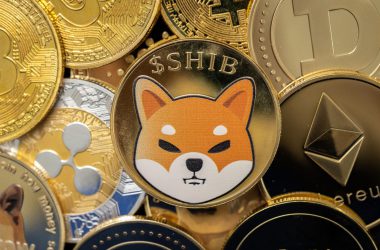Shiba Inu Twitter Handle Begins a Countdown, What is the Surprise?