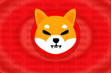shiba inu shib red