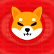 shiba inu shib red