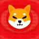 shiba inu shib red