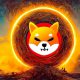 shiba inu burn