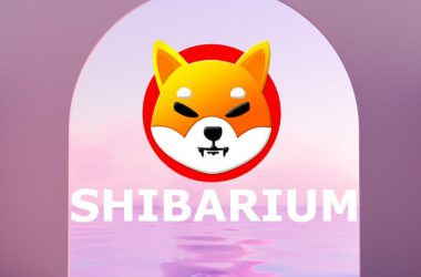 Shiba Inu Shibarium