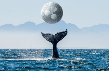 Ripple XRP Whale