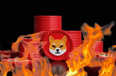 Here’s Why Shiba Inu Burn Rate Soared by 2690%
