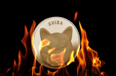 Shiba Inu Burn Rate Drops by 50% After Three Days of Soaring Burn Rate