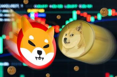 Shiba Inu Dogecoin Meme Coins